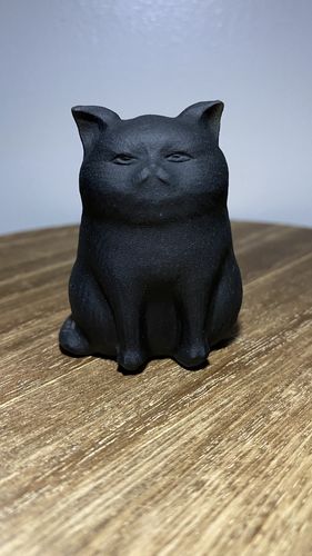 Customer photo review of Obsidian Cat