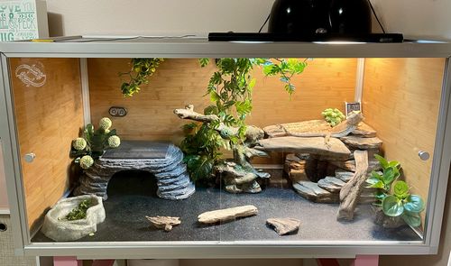 Customer photo review of 4'x2'x2' Original Wood Panel Reptile Enclosure