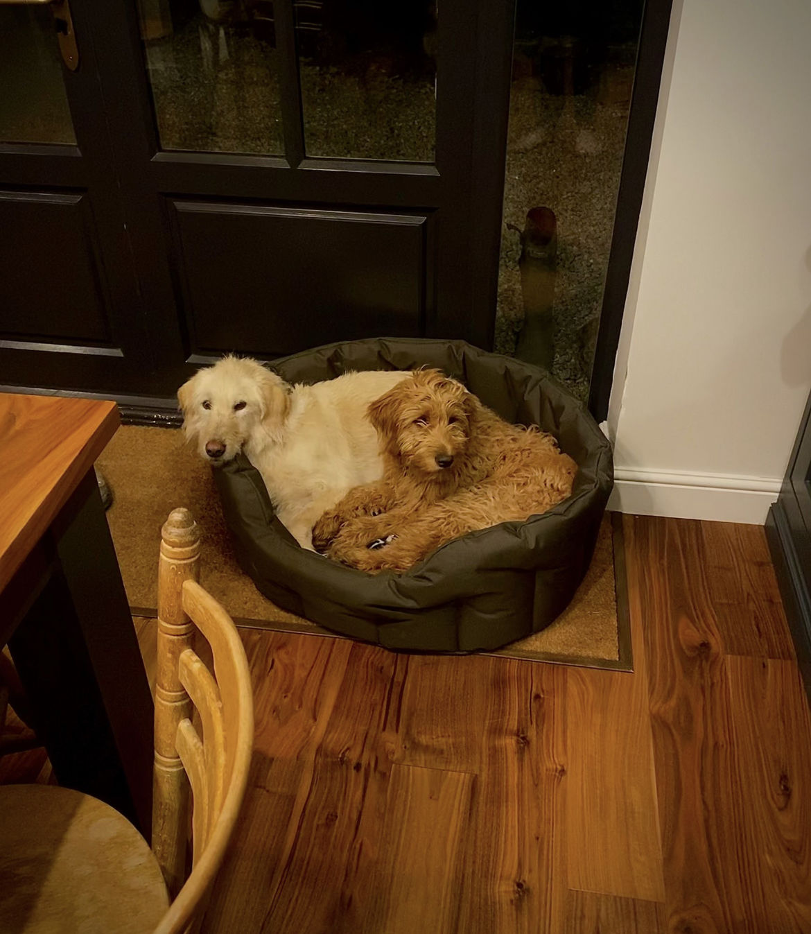 Customer photo review of Country Dog Heavy Duty Oval Waterproof Bed