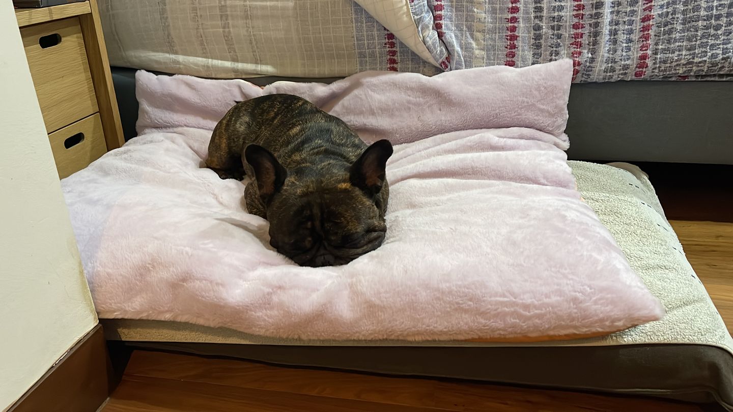 Customer photo review of arrr Sleeping Blanket