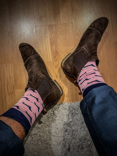 Customer photo review of Pink Stripe Dachies