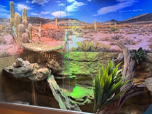 Customer photo review of 4'x2'x4' Original PVC Panel Reptile Enclosure