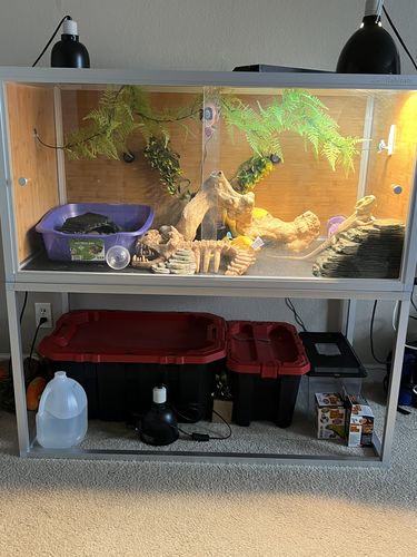 Customer photo review of 4’x2’x2’ Reptile Enclosure Stand