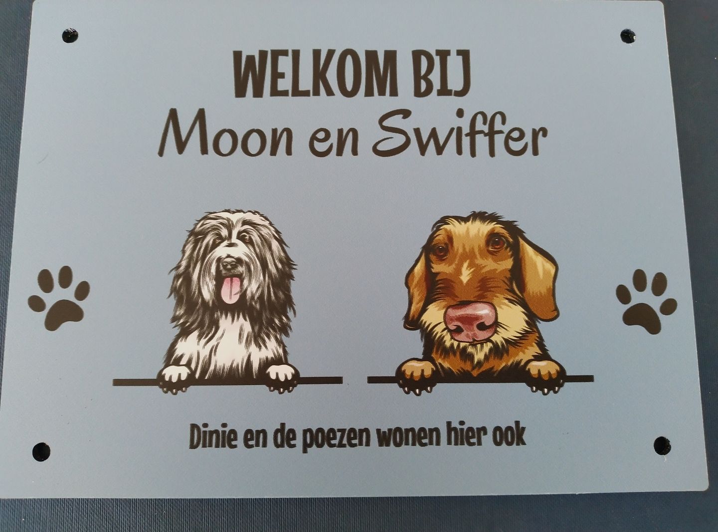 Customer photo review of Nieuwsgierige katten - Gepersonaliseerde deurbord