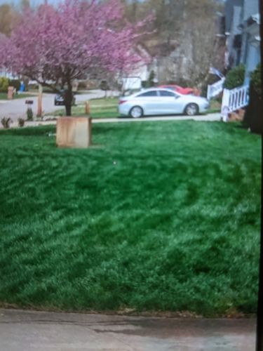 Customer photo review of 16-21-2 GreenePop 1 Gallon (Build-a-Box)