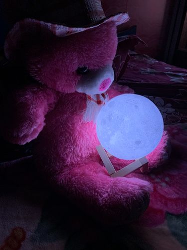 Customer photo review of 3D Moon Replica Lamp