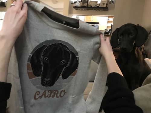 Customer photo review of Pet Portrait with Retro Sunset Background