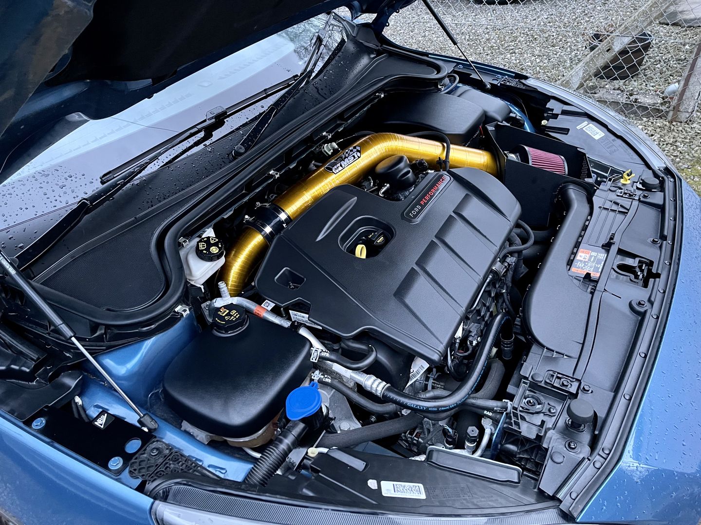 Customer photo review of Proform Dress Up Kit (various colours) - Mk4 Ford Focus