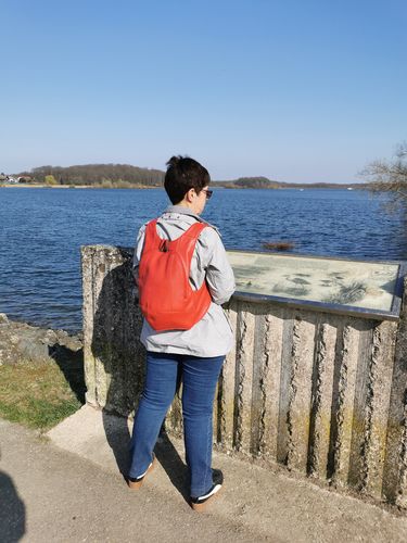 Customer photo review of The original collection