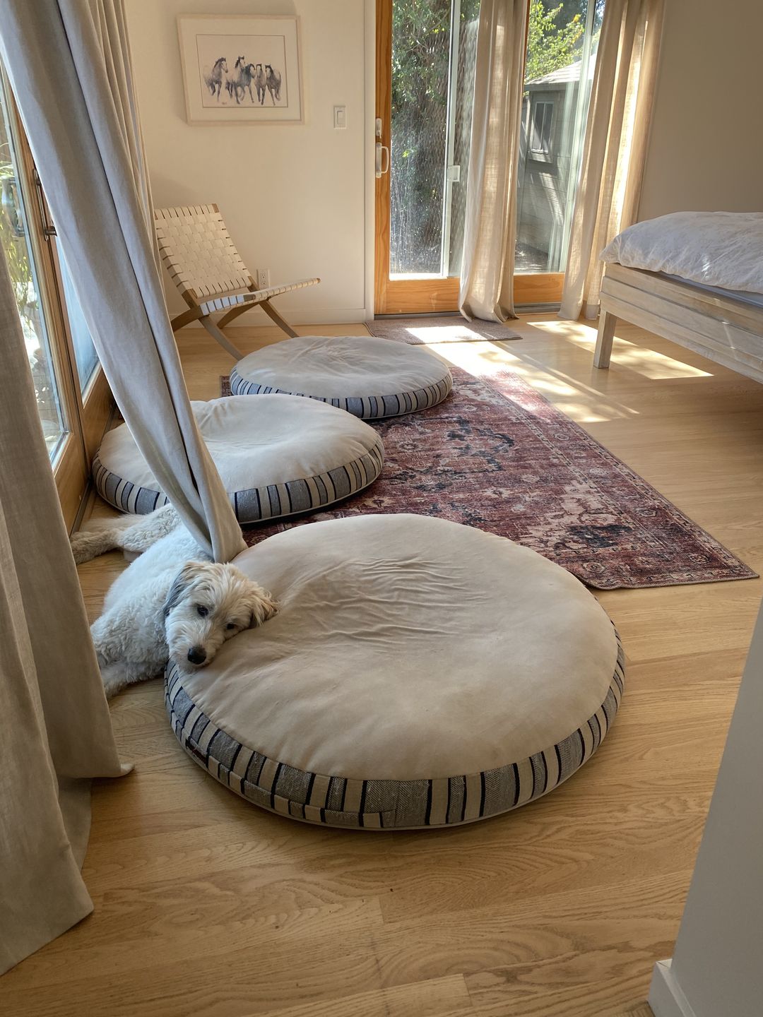 Customer photo review of Distressed Vintage Cezanne Terracotta Area Rug