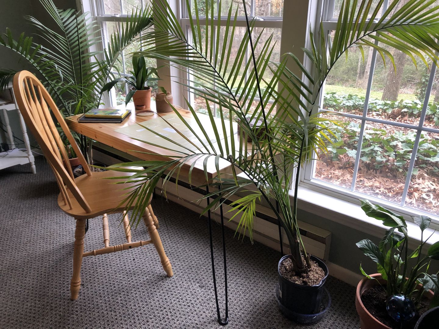 Customer photo review of The Portland Folding Table