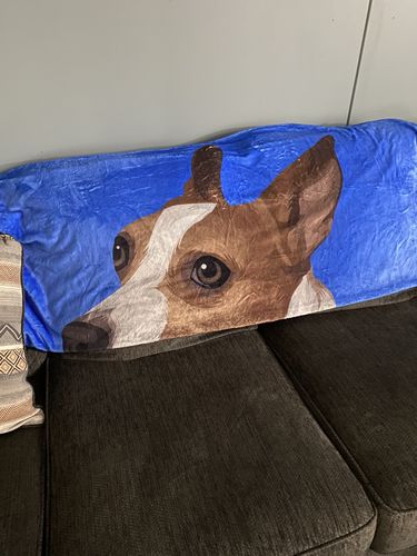 Customer photo review of Custom Pet Print Fleece Blanket