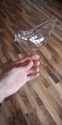 Customer photo review of Ampoules en verre auto-arrosantes - Le Jardin de Mamie®