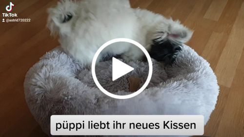 Customer video review of Puppery Kuschelbett - Das Original