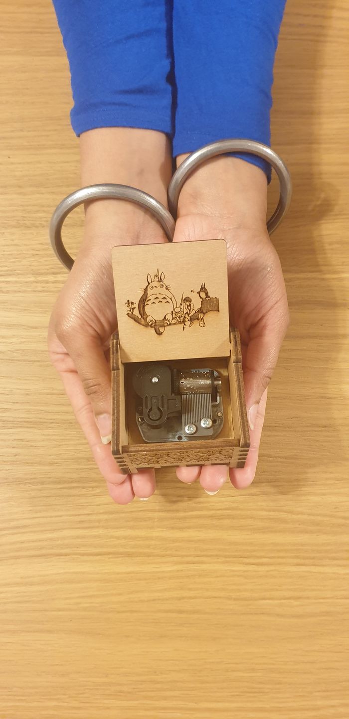 Customer photo review of Wind-up Music Box