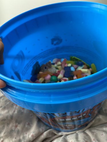 Customer photo review of 5kg Bucket Mix Your Own
