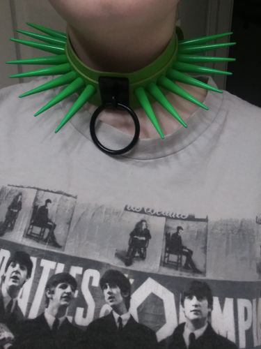 Customer photo review of Powerpunk Girls Collar