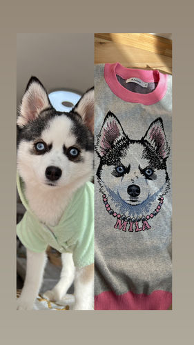 Customer photo review of Portrait Only Pet Custom Sweater