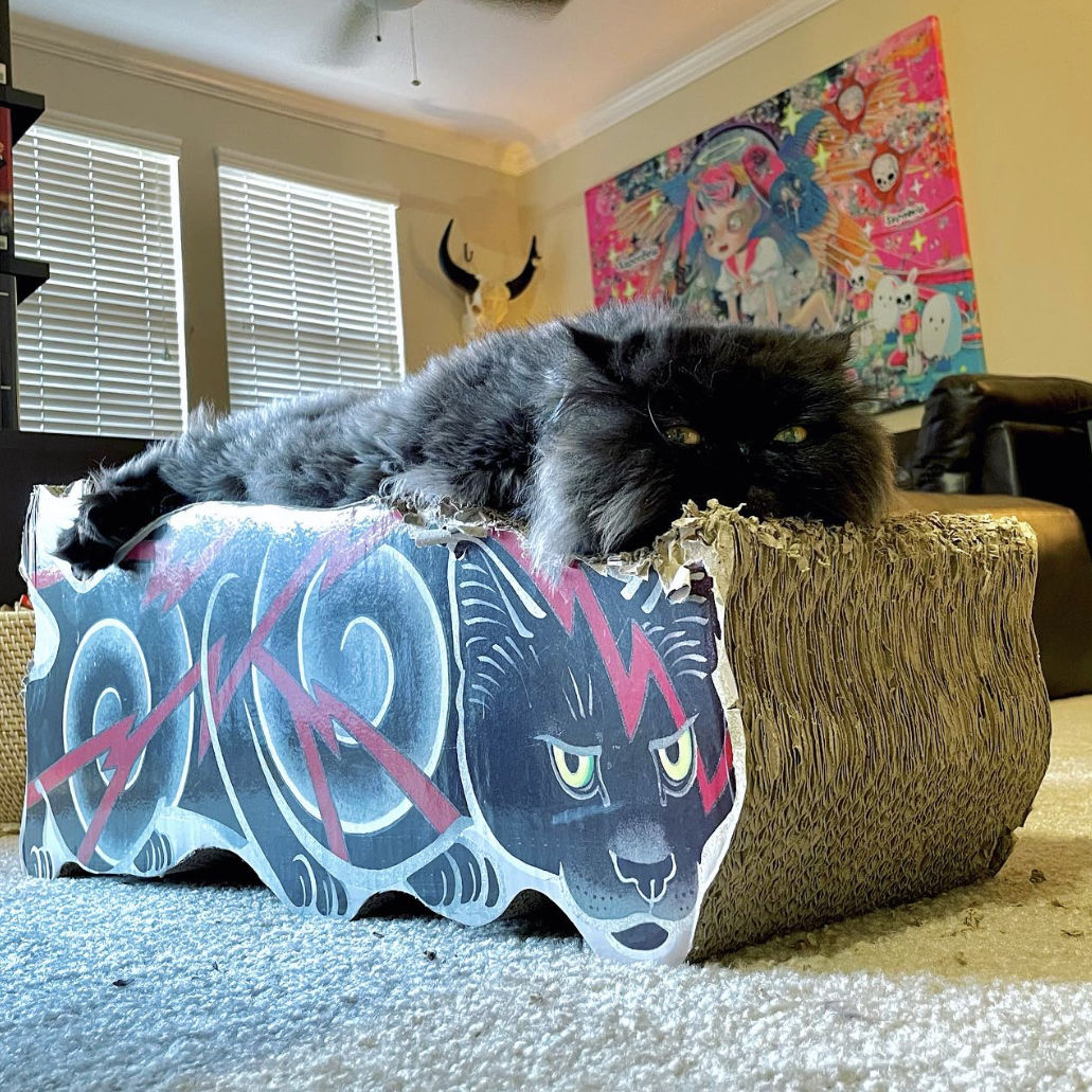 Customer photo review of Electric Cat Scratcher