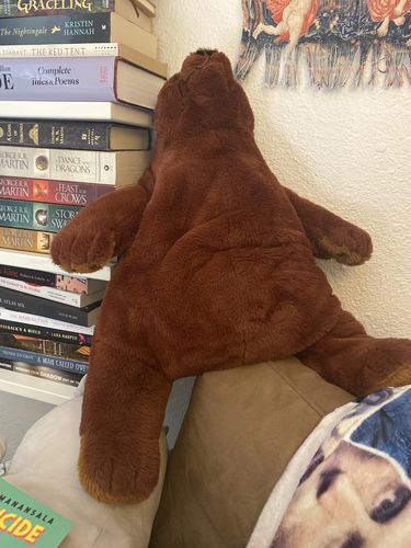 Customer photo review of SKOGGY BEAR