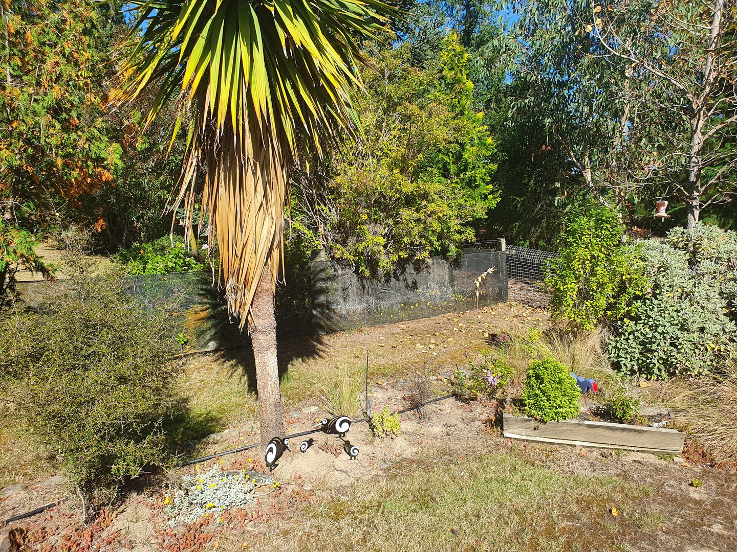 Customer photo review of Set of Aluminium Kiwi Bird Garden Ornaments