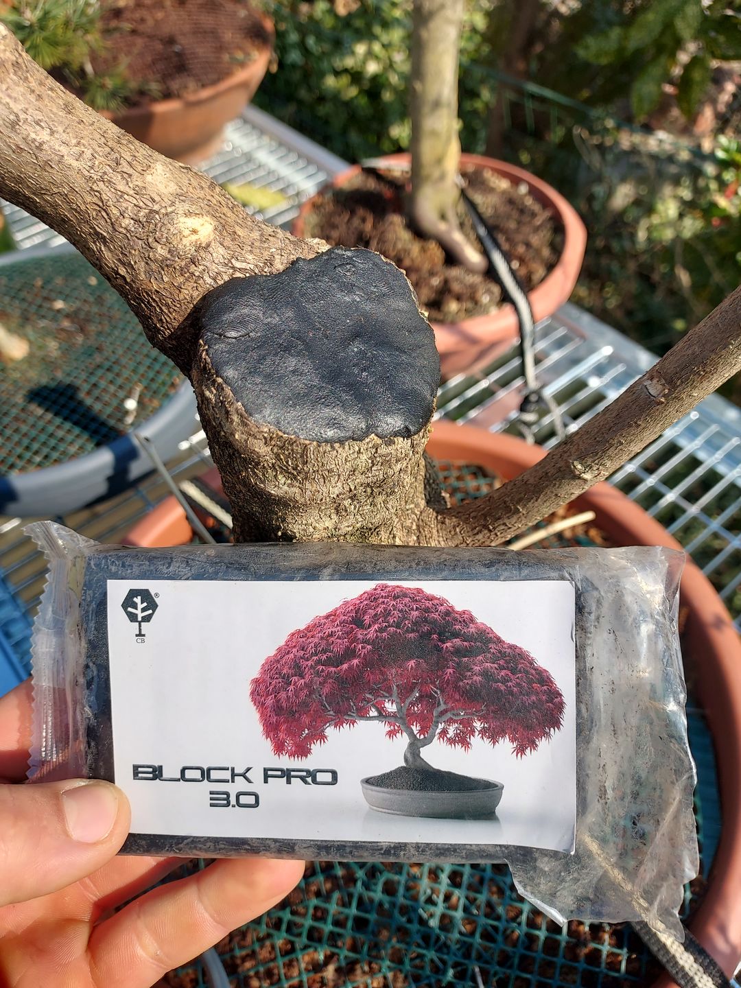 Customer photo review of BLOCK PRO 3.0 CB® EVOLUZIONE FINALE 400 gr