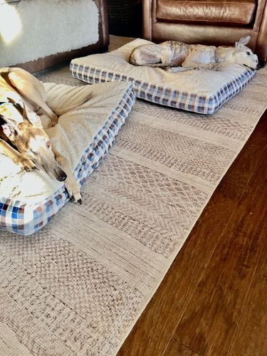 Customer photo review of Mojave Lines Desert Beige Rug