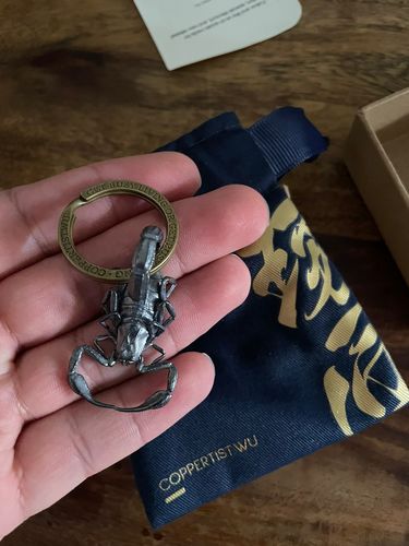 Customer photo review of Scorpion Pendant | 925 Aging Silver