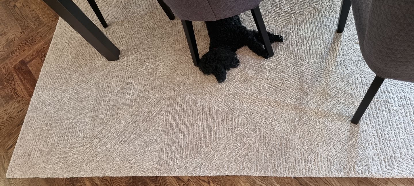 Customer photo review of Loren Reflections 05 Natural Wool Rug