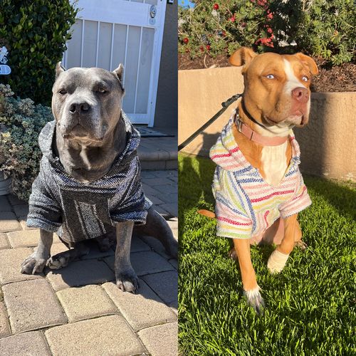 Customer photo review of Playa Poncho