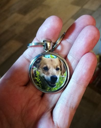 Customer photo review of Schlüssel- Anhänger mit Foto "Hund"