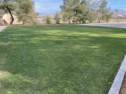 Customer photo review of Cool Season Lawn Care Guide