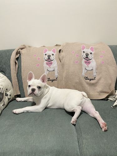 Customer photo review of Full-Body Pet Custom Sweater