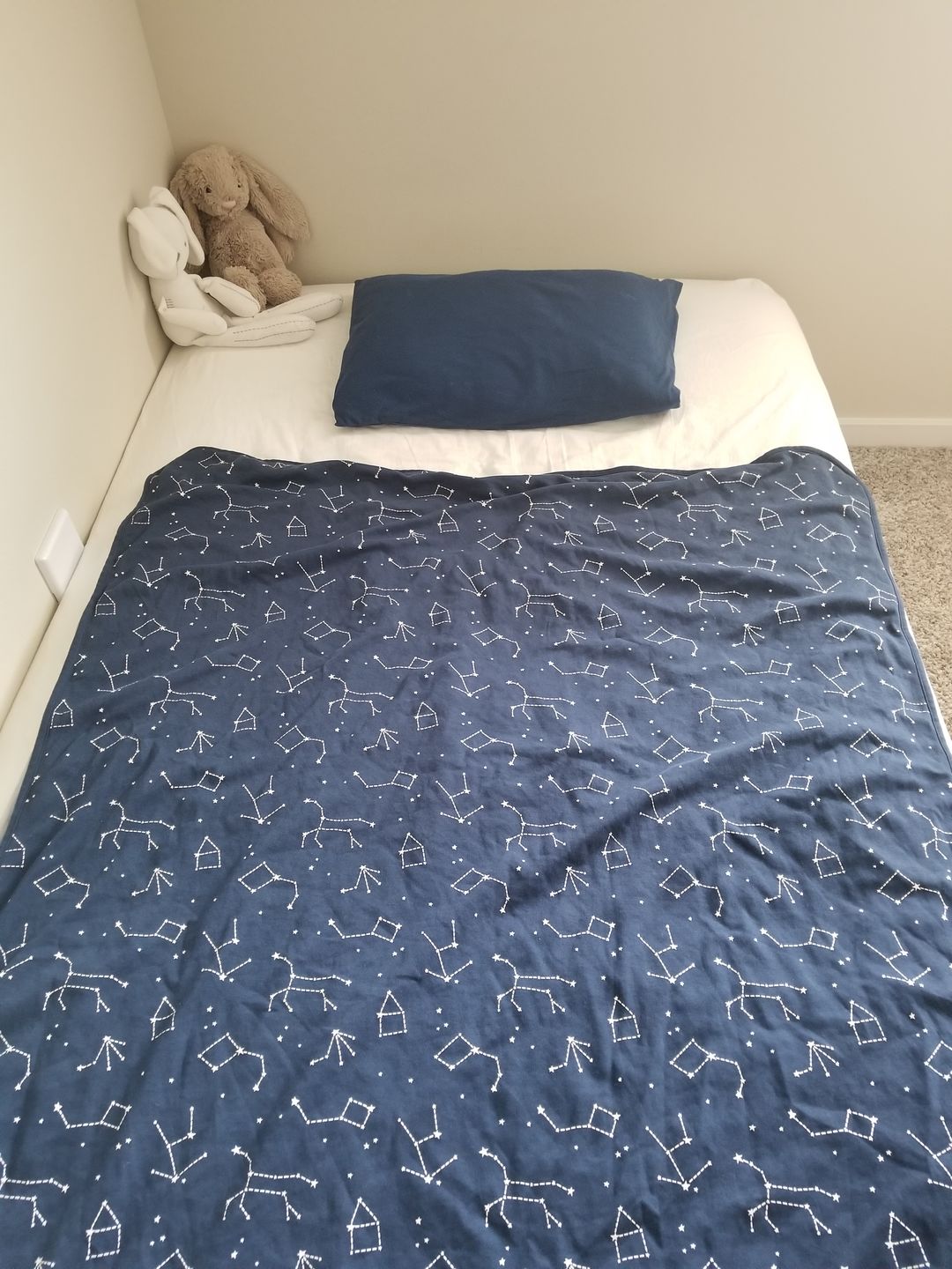 Customer photo review of Toddler Blanket, 4 Season® Merino Wool & Organic Cotton Blanket, 52.5" x 40", Night Sky™