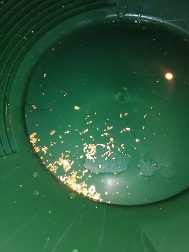 Customer photo review of *BOGO* Gold Diggers Delight '5 OUNCE GOLD CHASE' - Gold Paydirt Panning Concentrates
