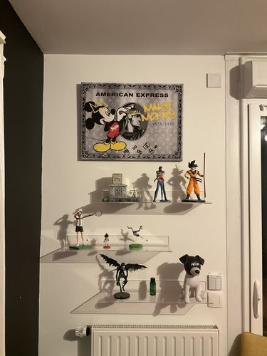 Customer photo review of Tableau American Mouse