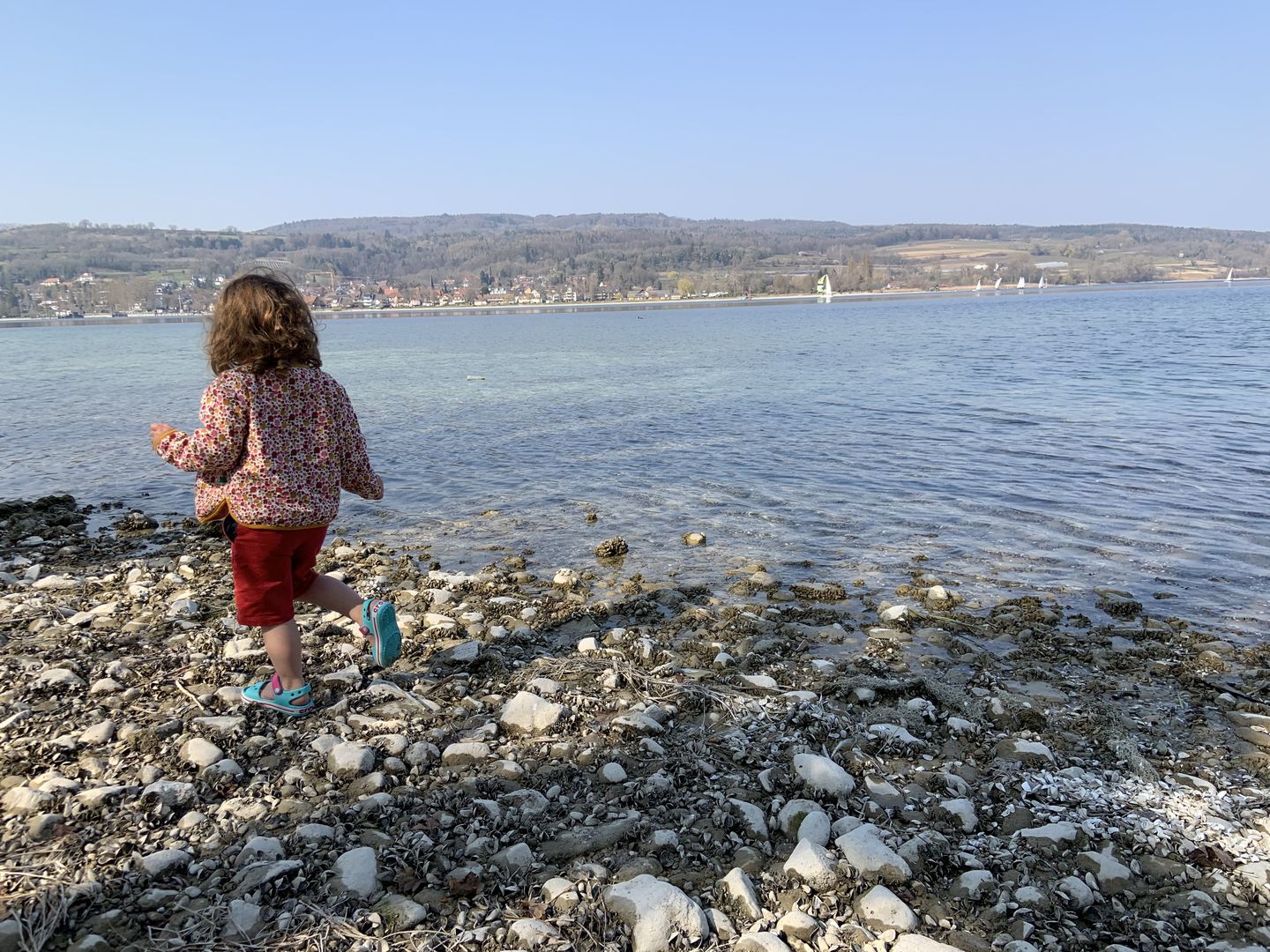 Customer photo review of Ladybird Days Reversible Spring Jacket