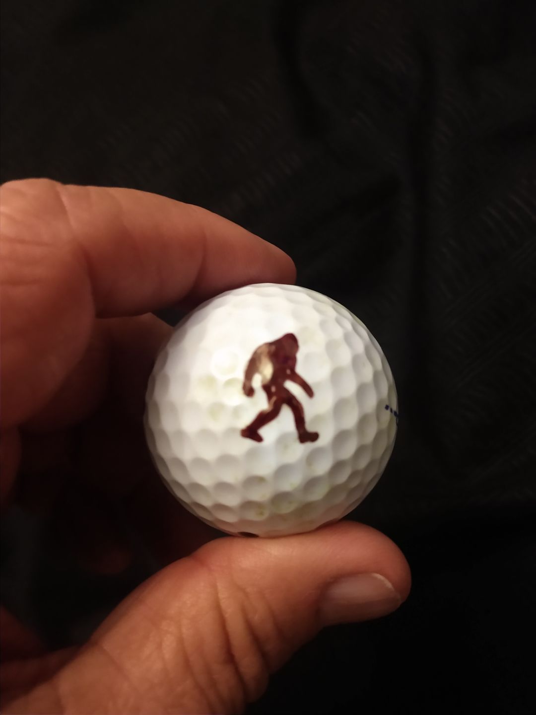 Customer photo review of Sasquatch