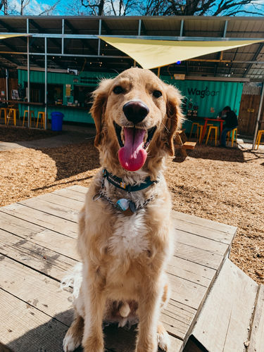 Customer photo review of Explorer