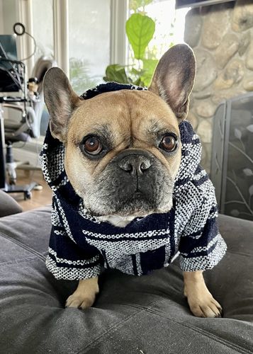 Customer photo review of Playa Poncho