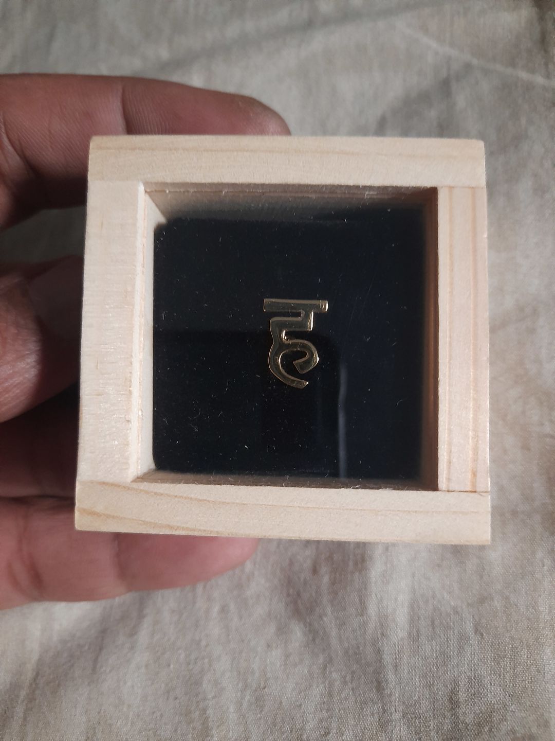 Customer photo review of Lapel Pins Hindi - अ क ख...