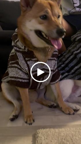 Customer video review of Playa Poncho