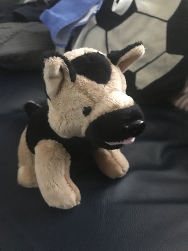 Customer photo review of Woof Woof the Dog
