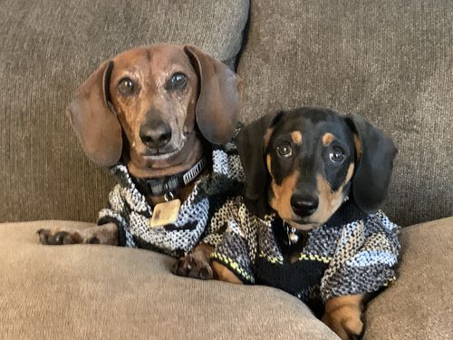 Customer photo review of Playa Poncho