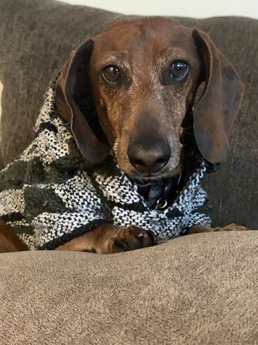 Customer photo review of Playa Poncho