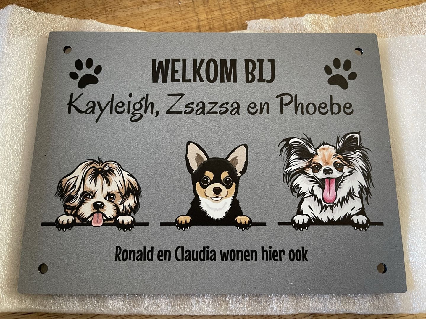 Customer photo review of Spionerende huisdieren- Gepersonaliseerde deurbord