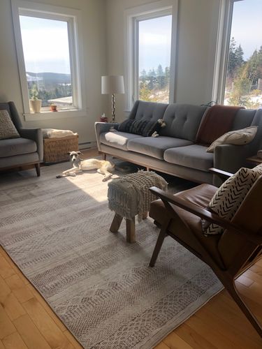 Customer photo review of Mojave Lines Desert Beige Rug