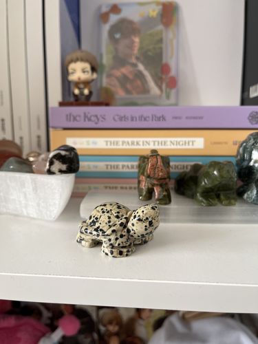 Customer photo review of Mini Crystal Turtles