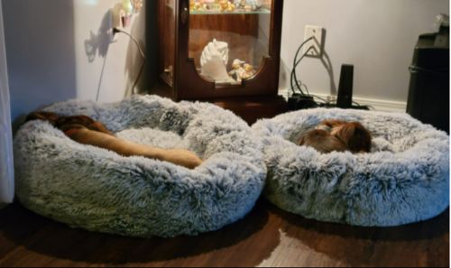 Customer photo review of PaWz Removable Cover Calming Pet Bed
