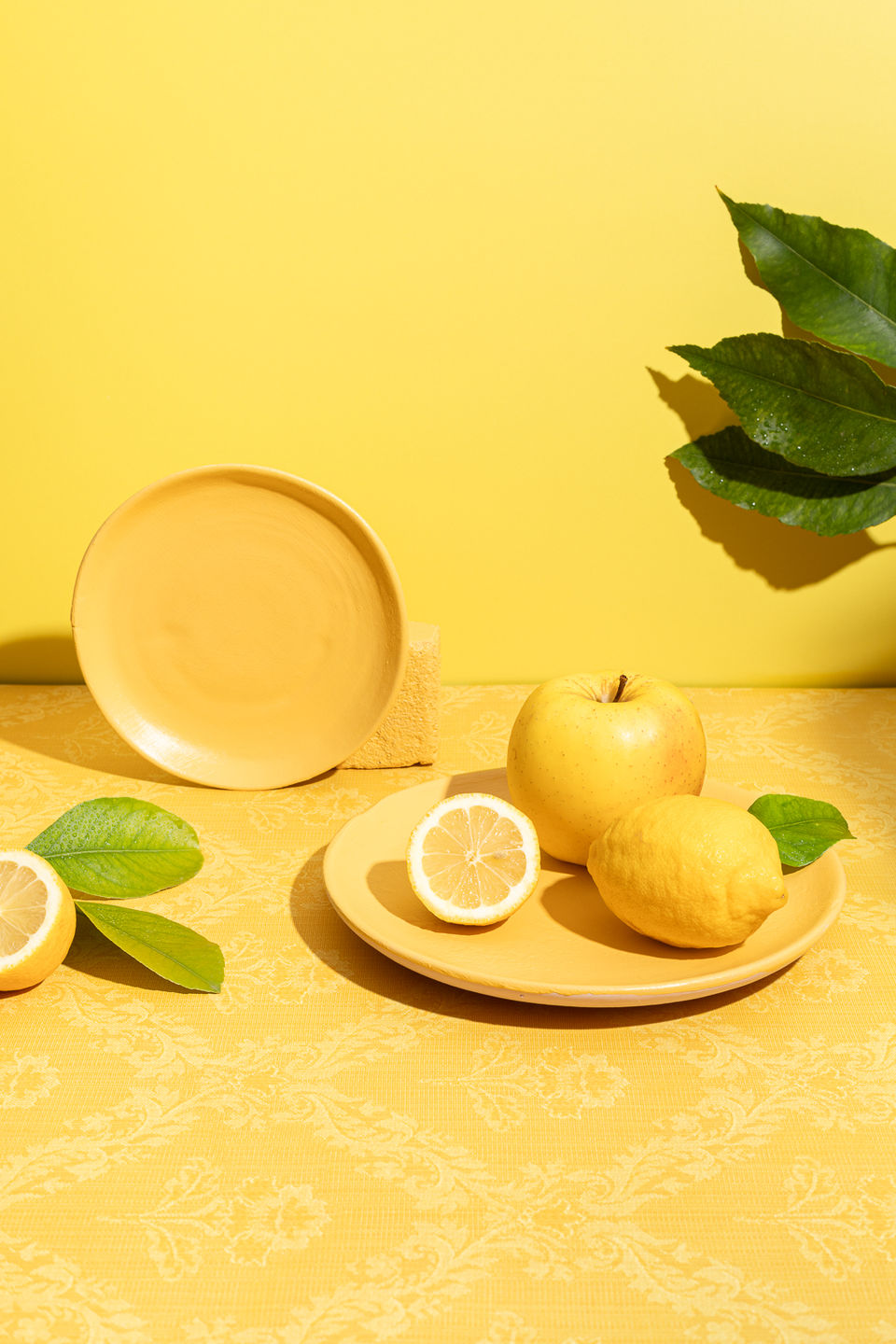 Customer photo review of Lemonade